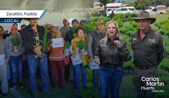 Respalda gobierno estatal nuevo patrimonio natural de 626 mil árboles en Zacatlán