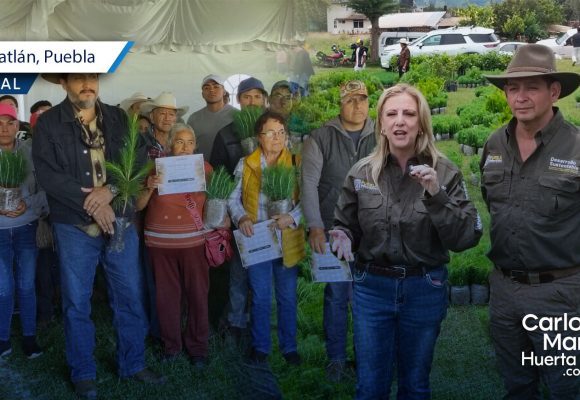 Respalda gobierno estatal nuevo patrimonio natural de 626 mil árboles en Zacatlán