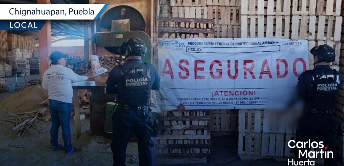 SSP y PROFEPA clausuran aserraderos en Chignahuapan y Aquixtla
