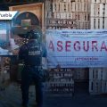 SSP y PROFEPA clausuran aserraderos en Chignahuapan y Aquixtla