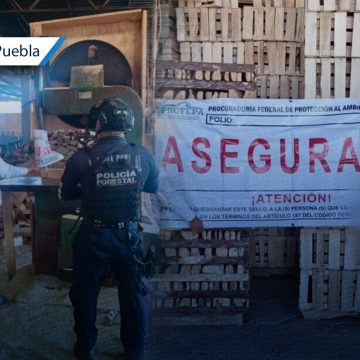 SSP y PROFEPA clausuran aserraderos en Chignahuapan y Aquixtla