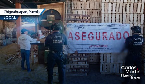 SSP y PROFEPA clausuran aserraderos en Chignahuapan y Aquixtla
