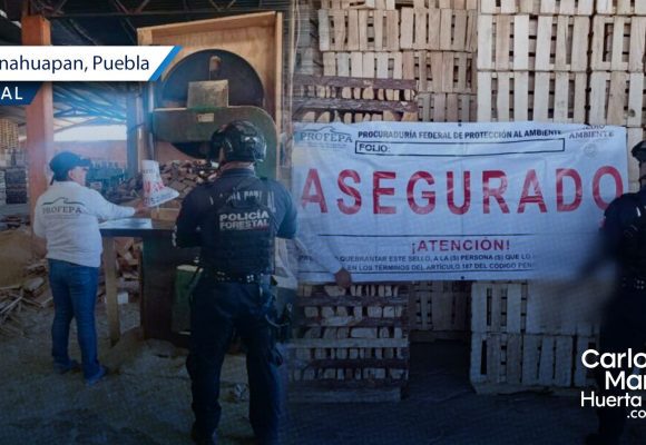 SSP y PROFEPA clausuran aserraderos en Chignahuapan y Aquixtla