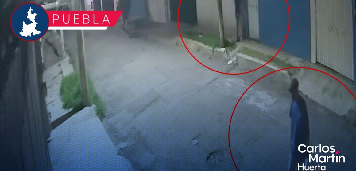 Ladrón intenta robar medidor de gas dos veces en Los Héroes