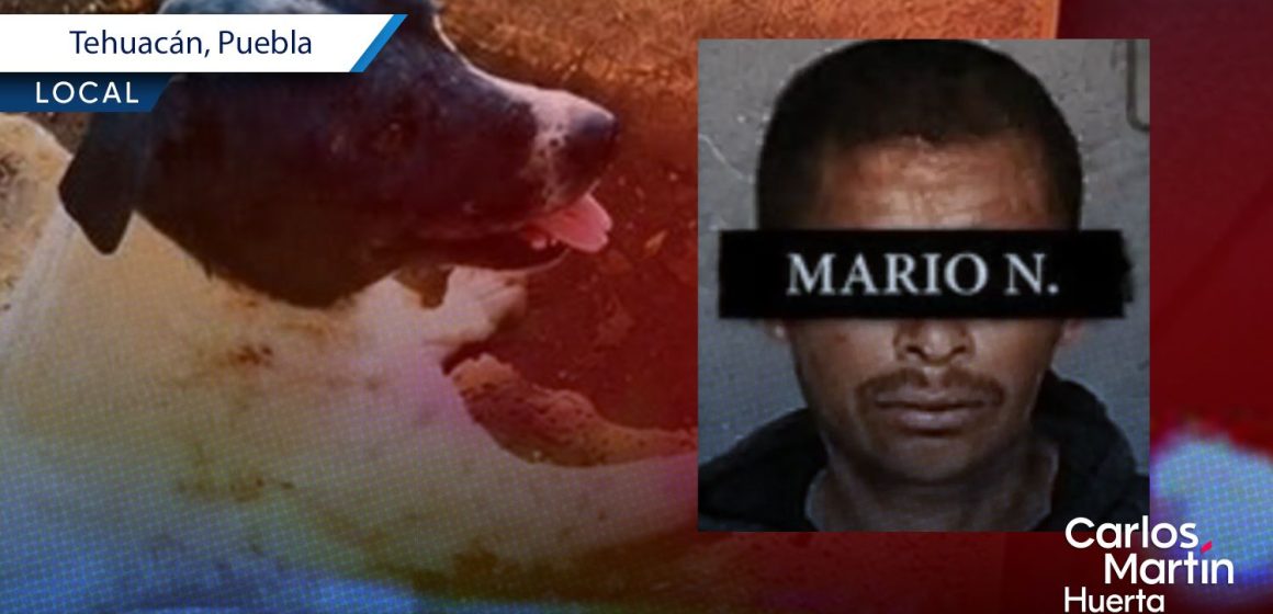 Exigen 11 años de cárcel para Mario ‘N’, sujeto que mutiló al perro Napoleón en Tehuacán