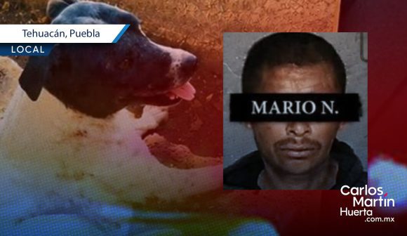 WhatsApp Image 2026-07-02 at 12.27.02 PM Exigen 11 años de cárcel para Mario ‘N’, sujeto que mutiló al perro Napoleón en Tehuacán