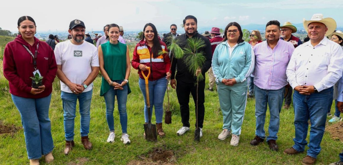 Impulsa Tonantzin Fernández acciones de reforestación en el Cerro Zapotecas