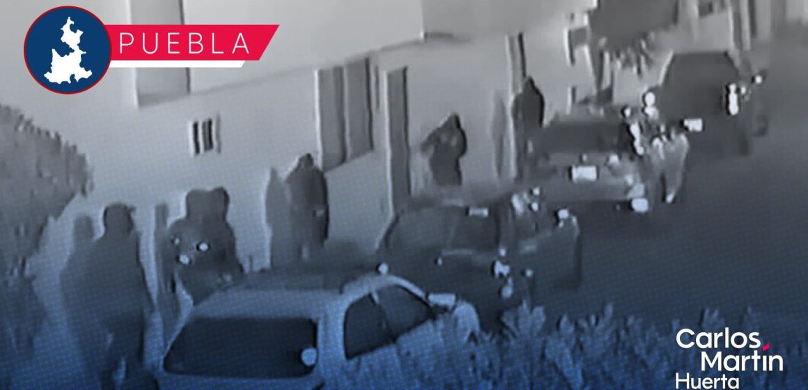 Perros y una vecina frustran asalto de comando armado en el sur de Puebla