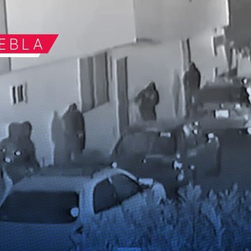 Perros y una vecina frustran asalto de comando armado en el sur de Puebla