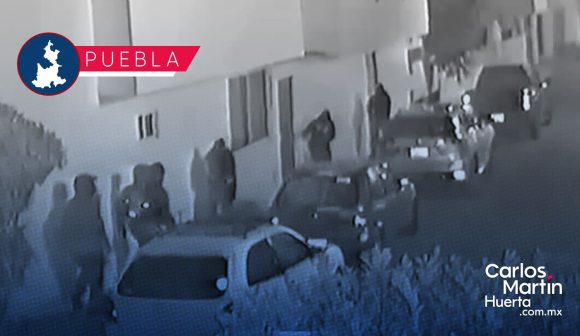 Perros y una vecina frustran asalto de comando armado en el sur de Puebla