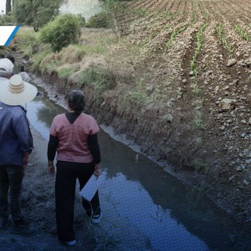 Lluvias inundan 48 hectáreas de maíz, jícama y amaranto en Atlixco