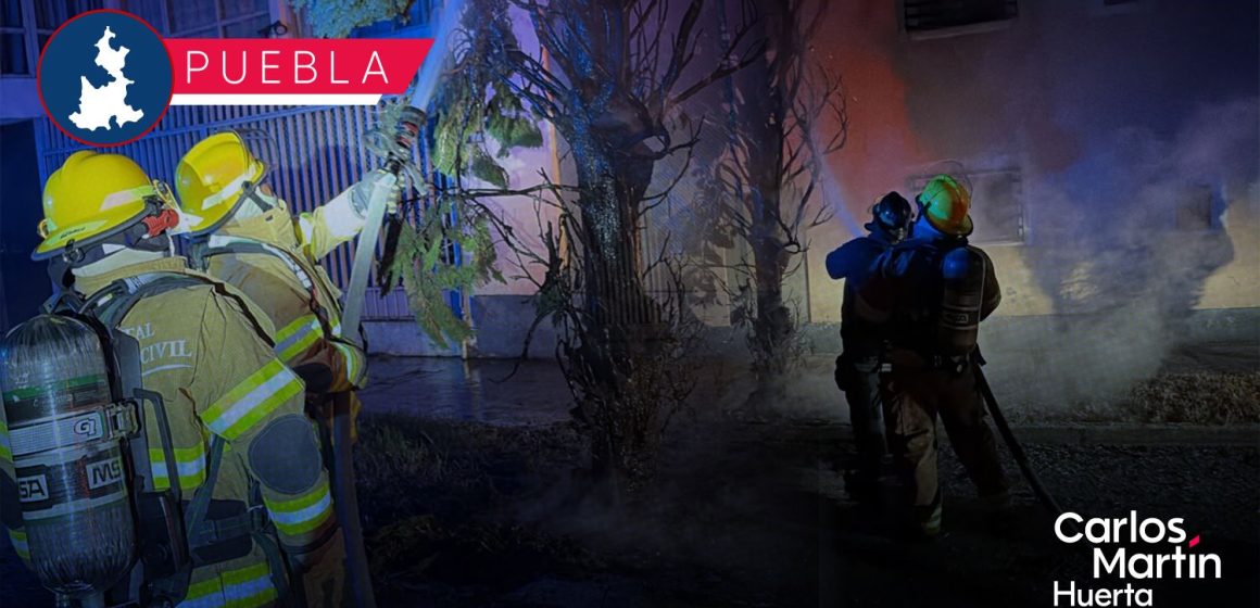Reportan saldo blanco tras incendio de árbol en el Fraccionamiento Vista Hermosa