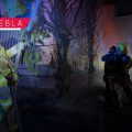 Reportan saldo blanco tras incendio de árbol en el Fraccionamiento Vista Hermosa