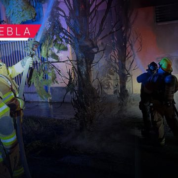 Reportan saldo blanco tras incendio de árbol en el Fraccionamiento Vista Hermosa