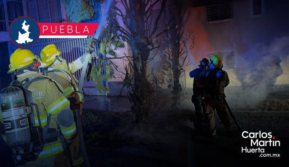 Reportan saldo blanco tras incendio de árbol en el Fraccionamiento Vista Hermosa