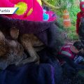 Bomeros de Cuautlancingo rescatan perrito tras caer a un pozo