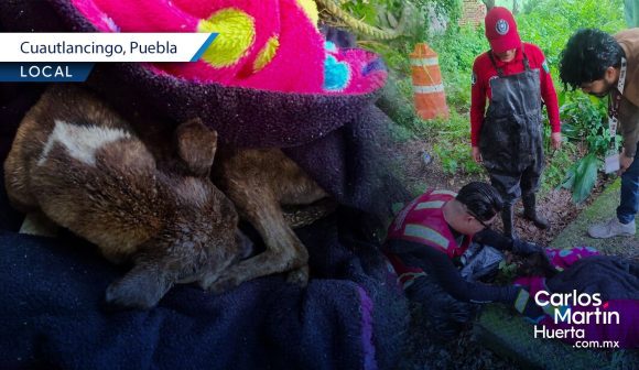 WhatsApp Image 2026-07-13 at 11.22.01 AM Bomeros de Cuautlancingo rescatan perrito tras caer a un pozo