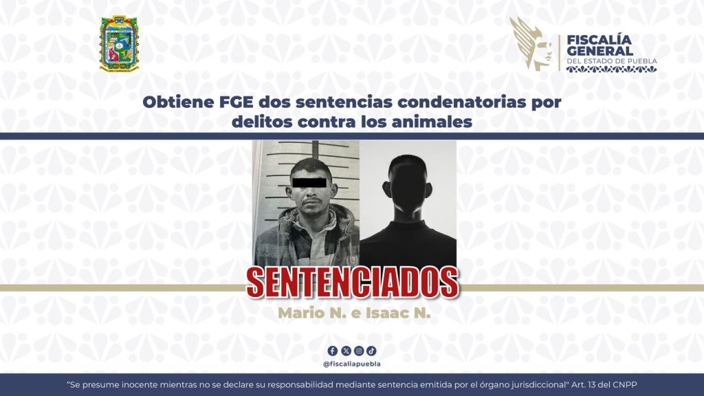 FGE logra dos sentencias por maltrato animal; responsables pasarán más de seis años en prisión 1 WhatsApp Image 2026 07 21 at 2.31.23 PM
