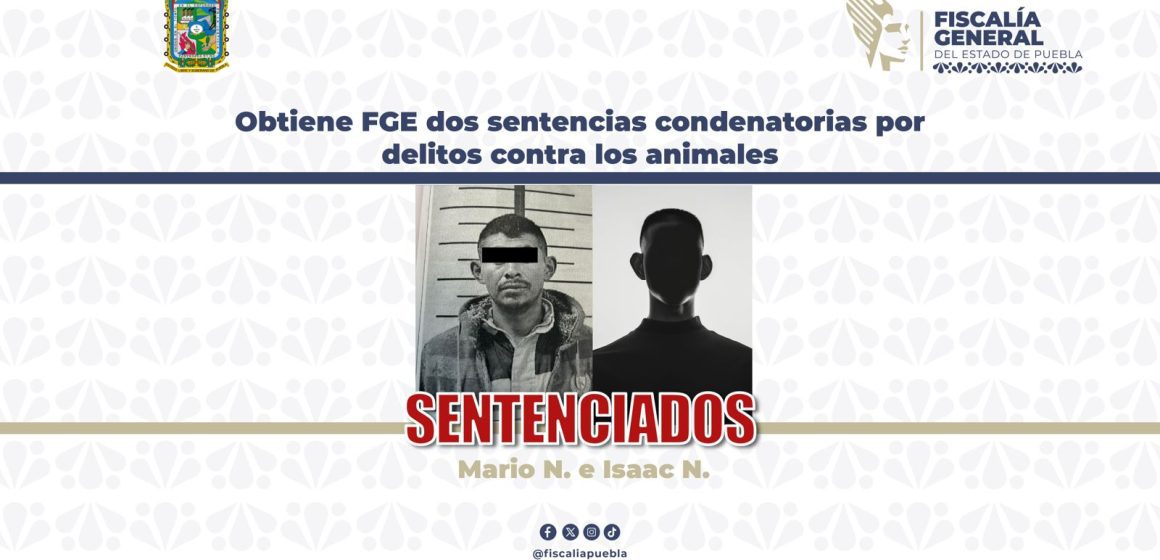 WhatsApp Image 2026-07-21 at 2.31.23 PM FGE logra dos sentencias por maltrato animal; responsables pasarán más de seis años en prisión