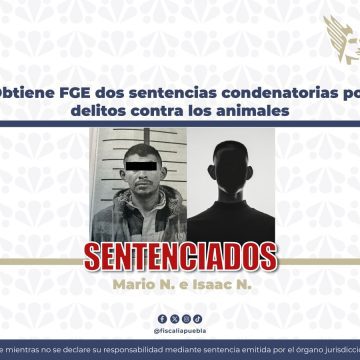 FGE logra dos sentencias por maltrato animal; responsables pasarán más de seis años en prisión