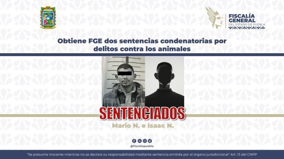 FGE logra dos sentencias por maltrato animal; responsables pasarán más de seis años en prisión
