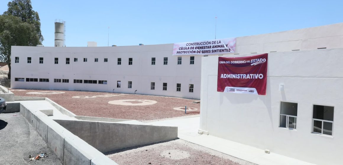Puebla construye la primera Célula de Bienestar Animal: un modelo pionero contra el maltrato