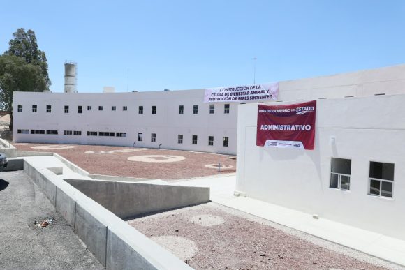 Puebla construye la primera Célula de Bienestar Animal: un modelo pionero contra el maltrato