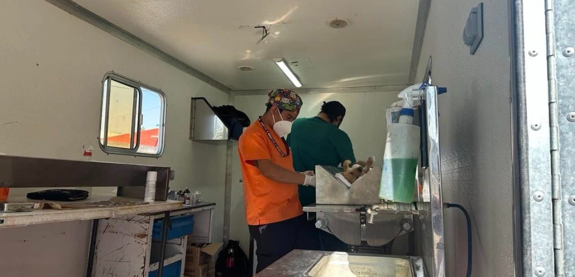 Pepe Chedraui fortalece el bienestar animal con más de 18 mil esterilizaciones gratuitas