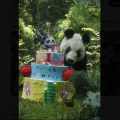 ‘Xin Xin’ celebra 36 años en el Zoológico de Chapultepec