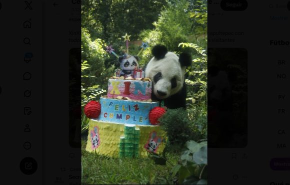 ‘Xin Xin’ celebra 36 años en el Zoológico de Chapultepec