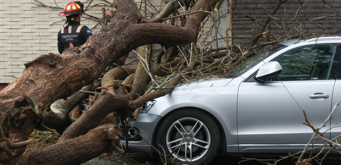 Tormenta en Puebla: Inundaciones, árboles caídos y apagones