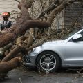 Tormenta en Puebla: Inundaciones, árboles caídos y apagones