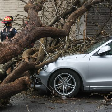 Tormenta en Puebla: Inundaciones, árboles caídos y apagones