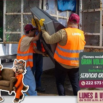 Prevención ante lluvias: Ayuntamiento mantiene servicio gratuito de descacharrización