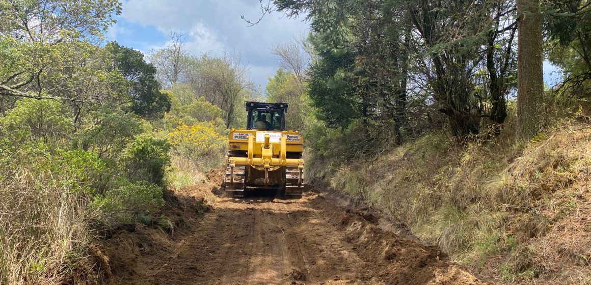 Gobierno estatal extiende más de 1,600 km de brechas cortafuego en 14 municipios