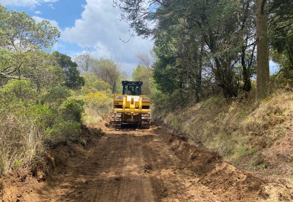 Gobierno estatal extiende más de 1,600 km de brechas cortafuego en 14 municipios