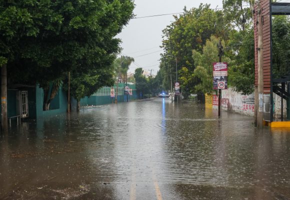Tormenta colapsa Puebla: Reportan inundaciones, árboles caídos y rescates