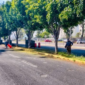 Interviene gobierno de Pepe Chedraui más de 16 millones de metros cuadrados de camellones