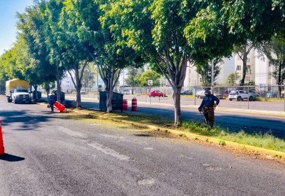 jardines Interviene gobierno de Pepe Chedraui más de 16 millones de metros cuadrados de camellones