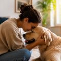 La conexión entre perros y humanos va más allá del cariño; la ciencia explica por qué entienden nuestras emociones