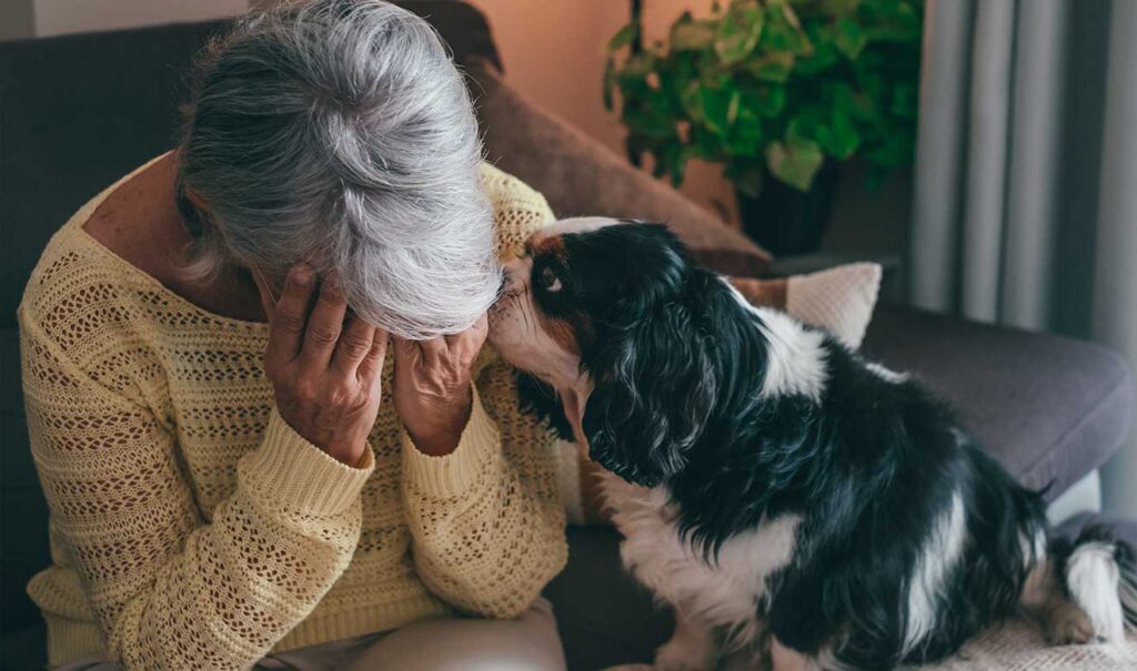 perro emociones