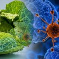 Brote de ciclosporiasis en EE. UU. alerta a México: ¿Qué es y cómo protegerse?