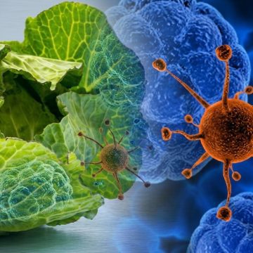 virus Brote de ciclosporiasis en EE. UU. alerta a México: ¿Qué es y cómo protegerse?