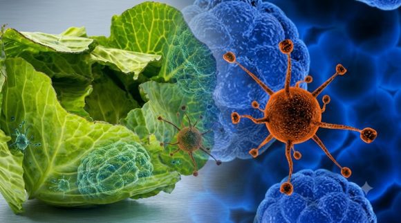 Brote de ciclosporiasis en EE. UU. alerta a México: ¿Qué es y cómo protegerse?