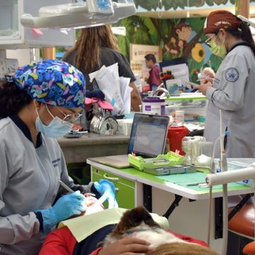 A_ClinicaPediatrica Proporciona BUAP tratamiento dental especializado a menores de edad