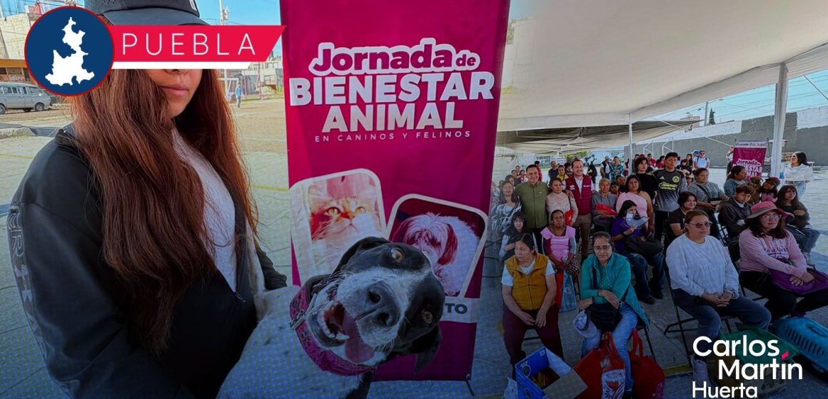 Arrancan las Jornadas de Bienestar Animal en Puebla: Servicios y fechas