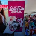 Arrancan las Jornadas de Bienestar Animal en Puebla: Servicios y fechas