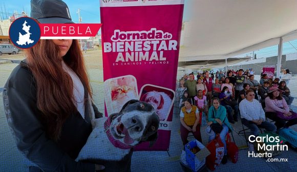 Arrancan las Jornadas de Bienestar Animal en Puebla: Servicios y fechas