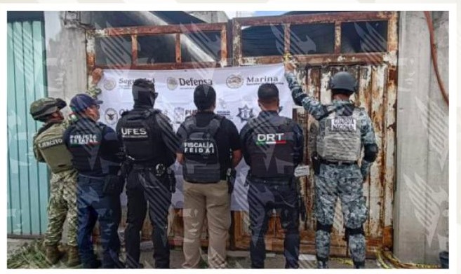 Cateo plantas de marihuana El Salvador Aseguran 60 plantas de marihuana tras cateo en la colonia El Salvador