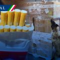 Aseguran más de 2 millones de cigarrillos apócrifos en el AICM procedentes de Tailandia